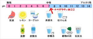 ナベグラヴィ,オシャレ,炭酸水,効果,感想,口コミ,ペットボトル,成分