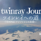 emma,ツインレイ,スピリチュアル