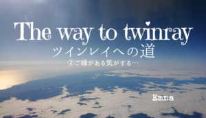 emma,ツインレイ,スピリチュアル