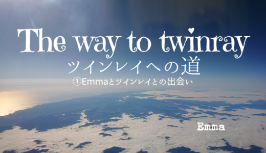 ツインレイへの道①Emmaとツインレイとの出会い